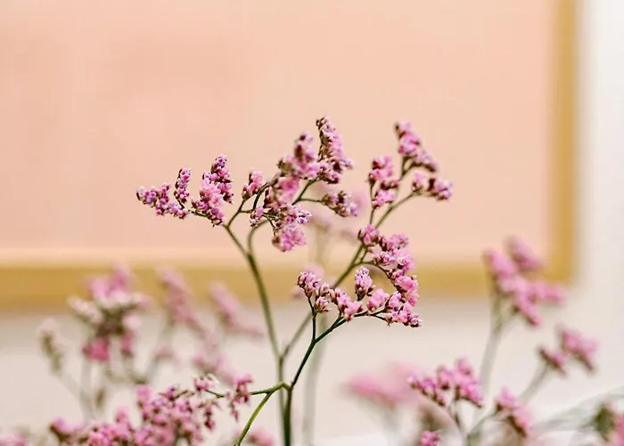 Castle District Design *